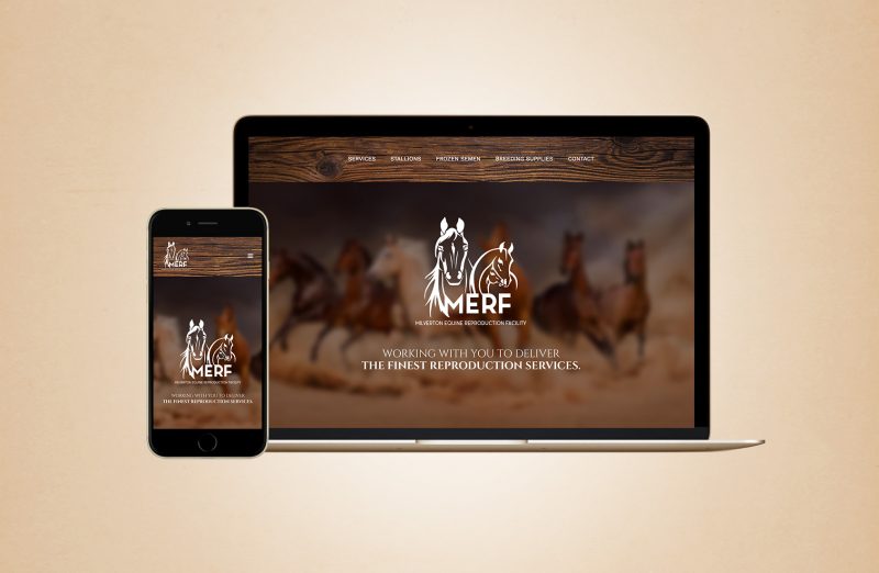 MERF Website Design