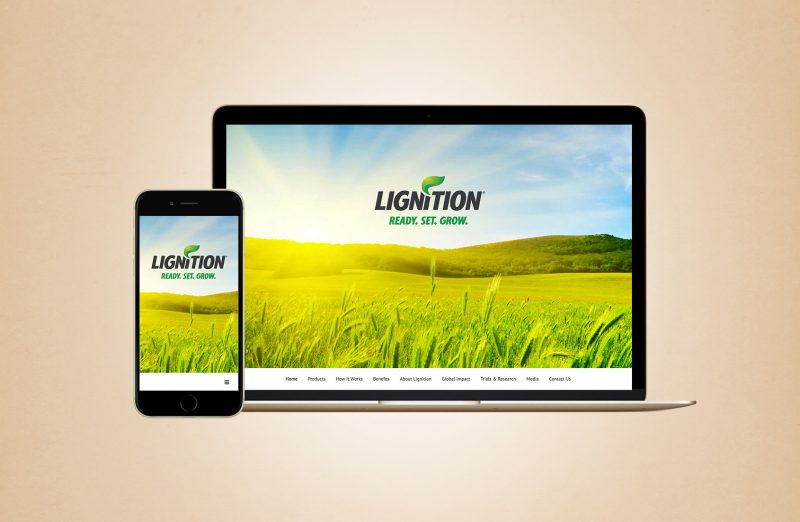 Lignition Website Design